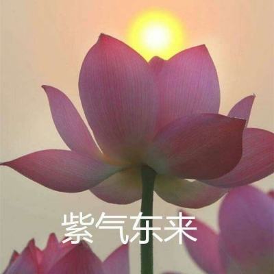 仙剑3之邪剑仙公益服下载